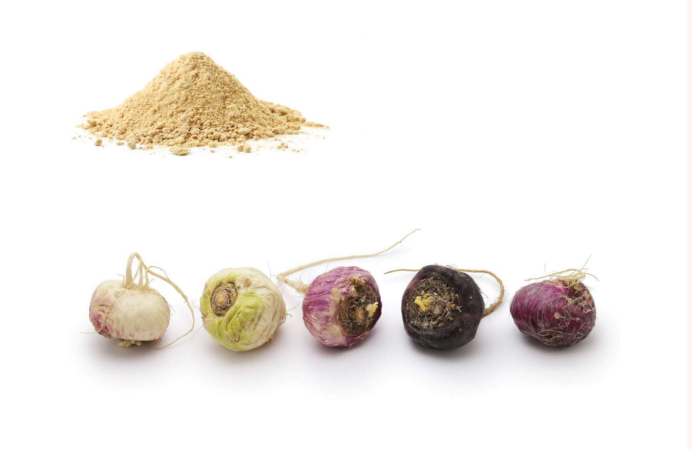 Maca - blog obrazok